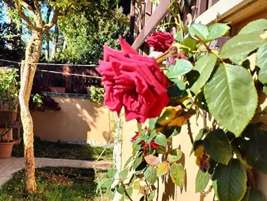 Immagine 5 di Villetta a schiera in vendita  in Via Bologna  15 a Genzano Di Roma