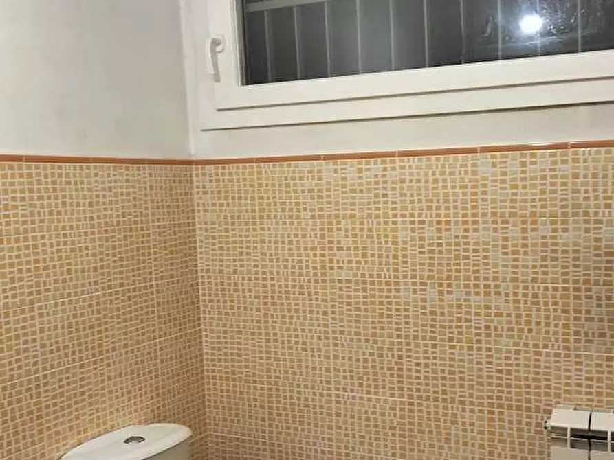 Immagine 19 di Casa bifamiliare in vendita  in Via Leonida Rech  a Roma