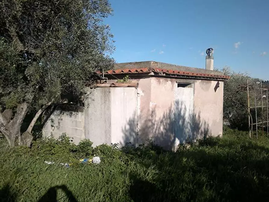 Immagine 2 di Terreno agricolo in vendita  in Via delle Selve a Lanuvio