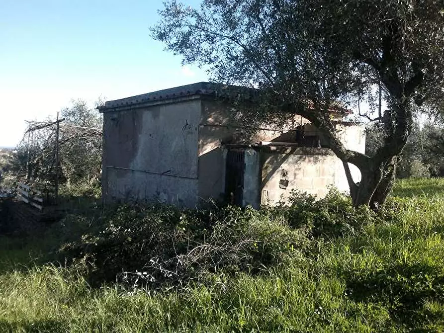 Immagine 6 di Terreno agricolo in vendita  in Via delle Selve a Lanuvio