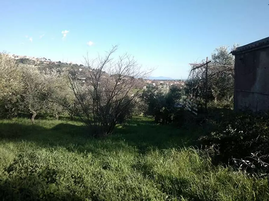 Immagine 7 di Terreno agricolo in vendita  in Via delle Selve a Lanuvio