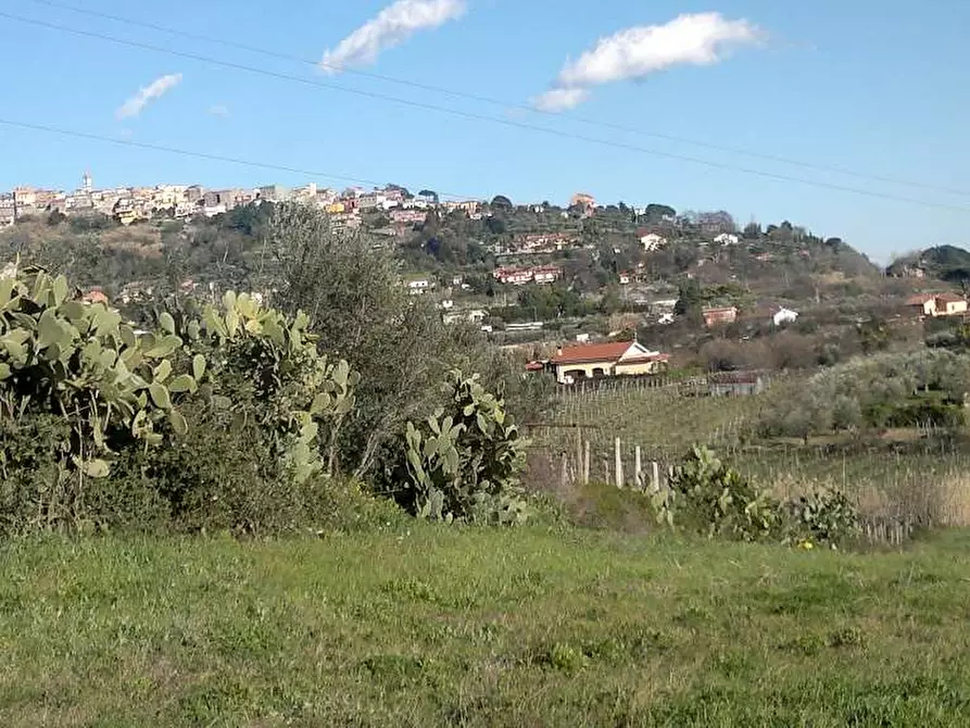 Immagine 1 di Terreno agricolo in vendita  in Via delle Selve a Lanuvio