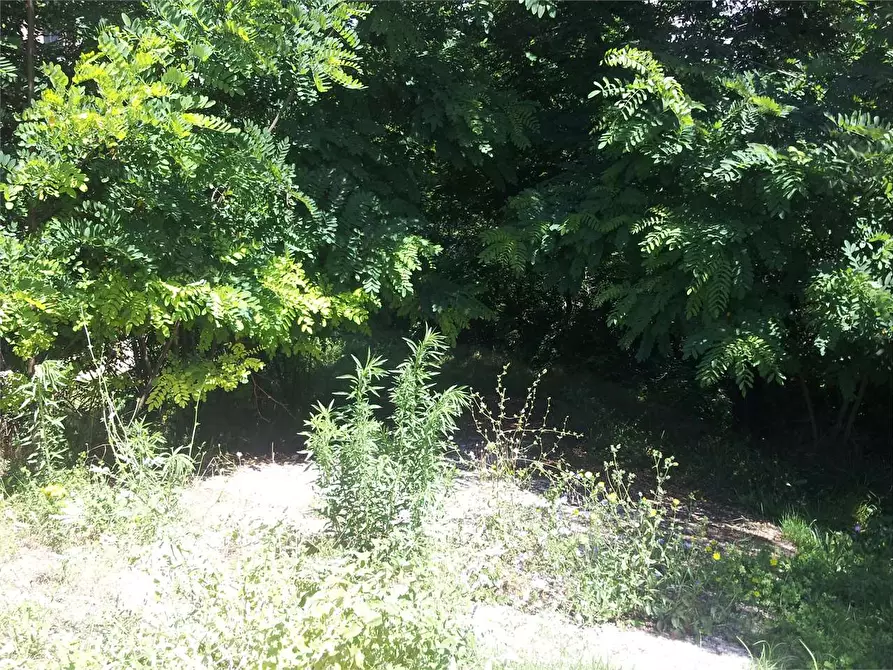 Immagine 10 di Villa in vendita  in Via Forcella 80 a Torrice