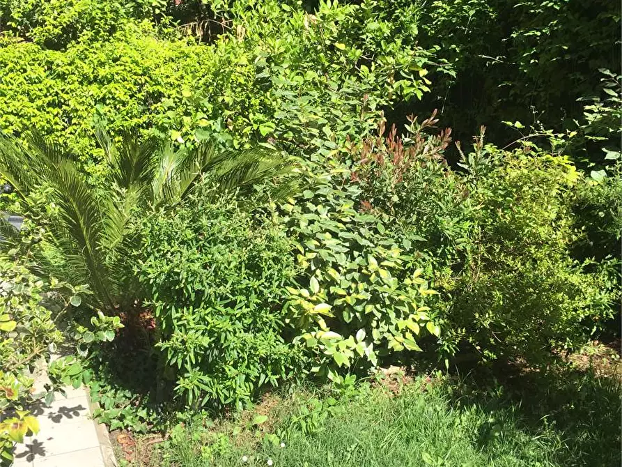 Immagine 10 di Bilocale in vendita  in via america latina 50 a Frosinone