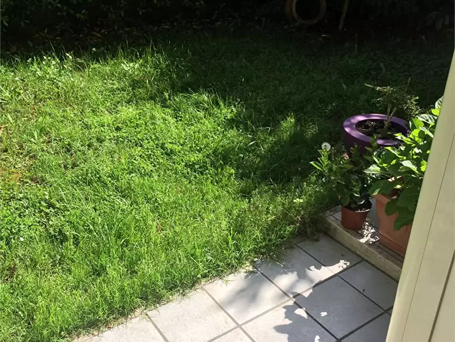 Immagine 12 di Bilocale in vendita  in via america latina 50 a Frosinone