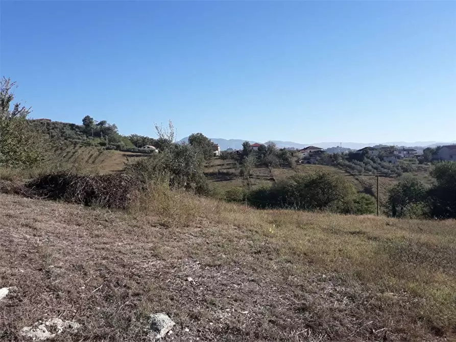 Immagine 1 di Terreno edificabile in vendita  in via colle leandro a Torrice