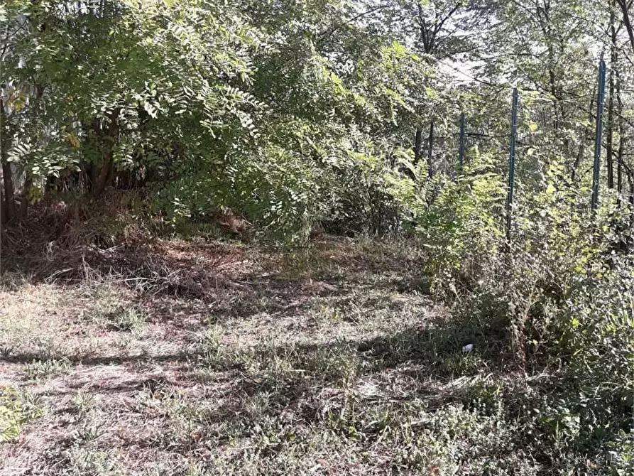 Immagine 2 di Terreno edificabile in vendita  in via colle leandro a Torrice