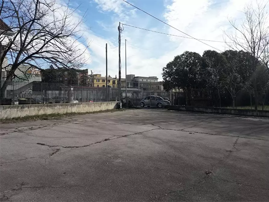 Immagine 3 di Ufficio in affitto  a Frosinone