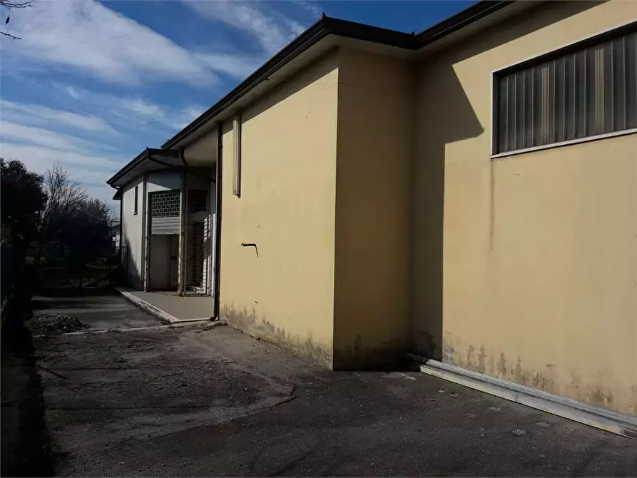 Immagine 4 di Ufficio in affitto  a Frosinone