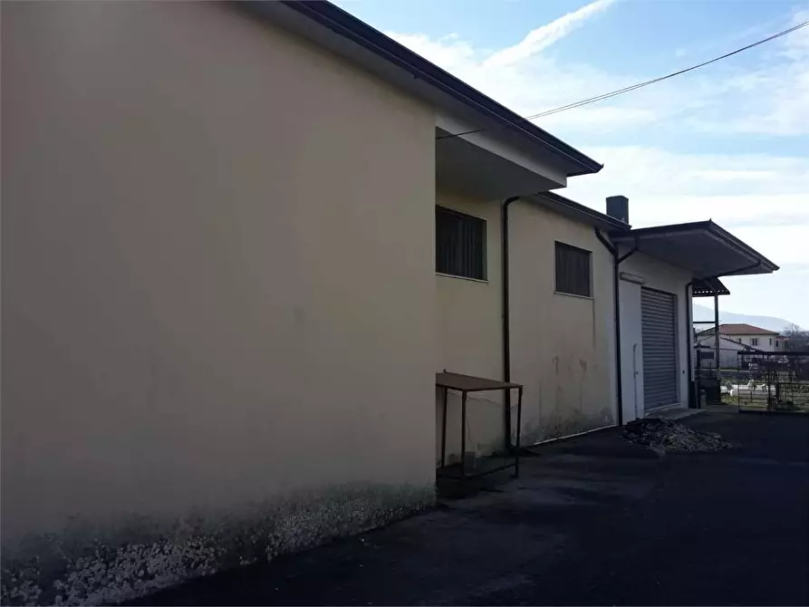 Immagine 5 di Ufficio in affitto  a Frosinone