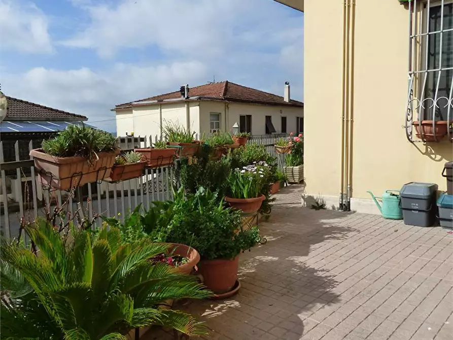 Immagine 4 di Bilocale in affitto  in via vetiche 4 a Frosinone