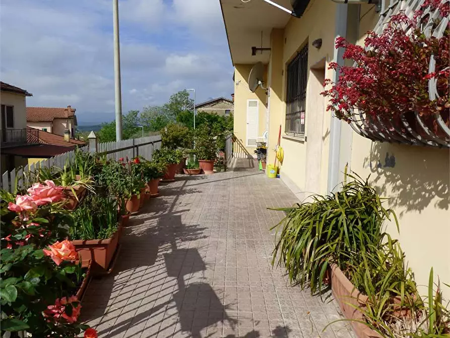 Immagine 1 di Bilocale in affitto  in via vetiche 4 a Frosinone