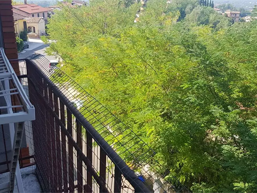 Immagine 23 di Bilocale in vendita  a Frosinone