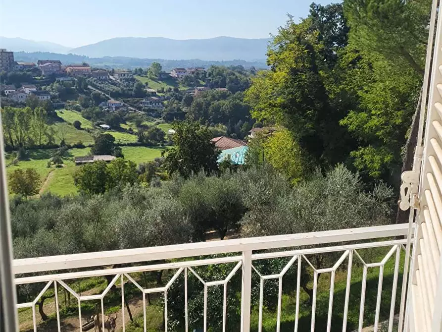 Immagine 11 di Ufficio in affitto  in via america latina 120 a Frosinone