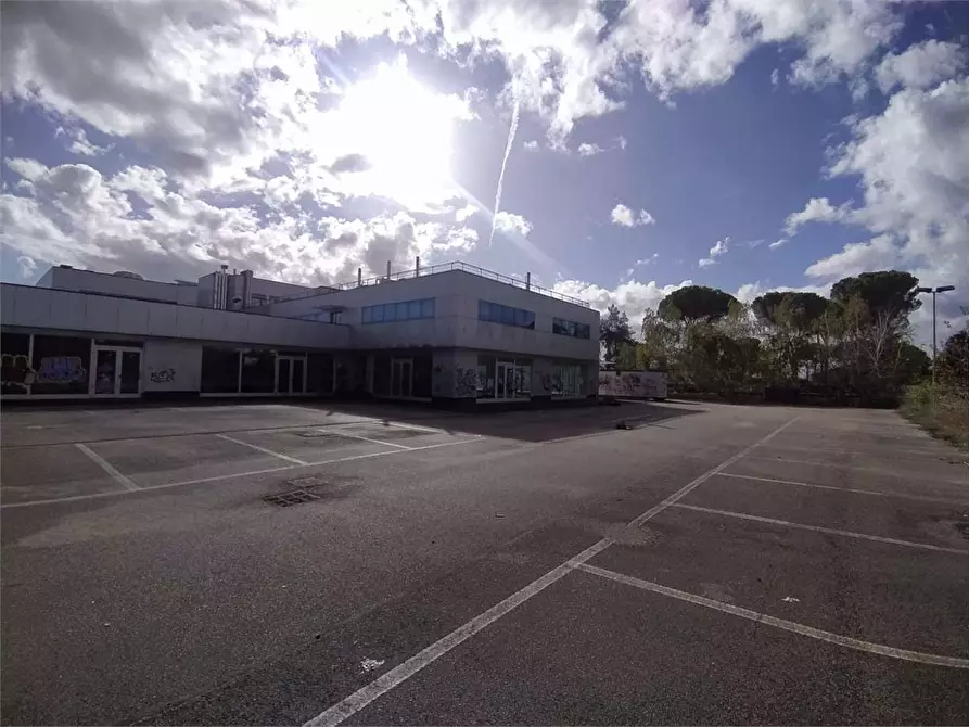 Immagine 14 di Negozio in affitto  a Frosinone