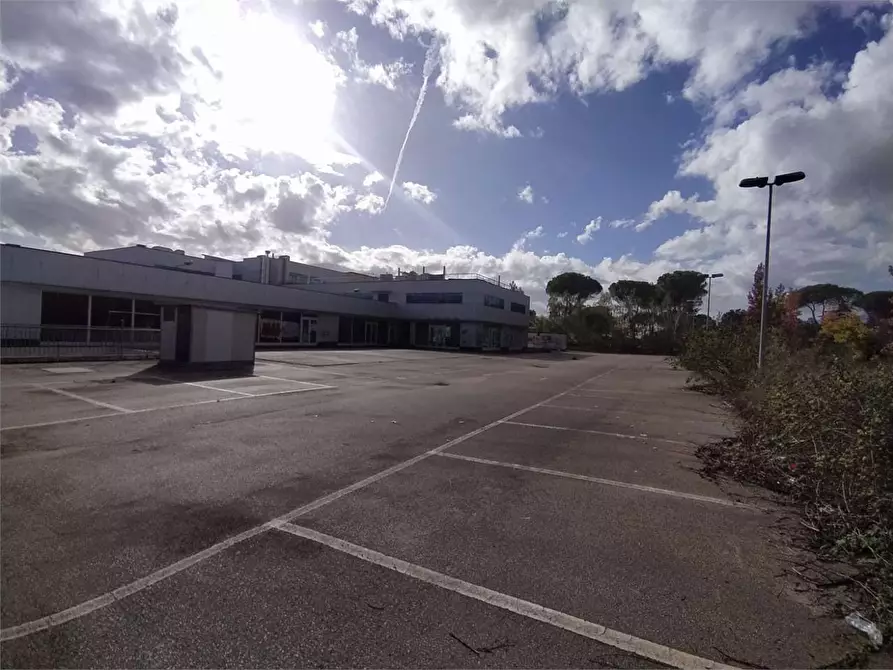 Immagine 23 di Negozio in affitto  a Frosinone