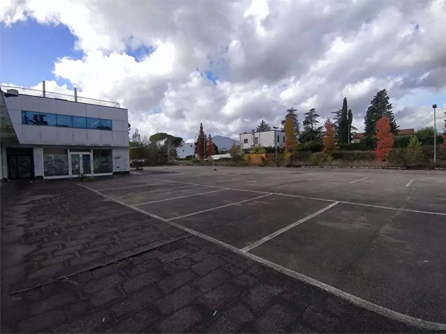 Immagine 27 di Negozio in affitto  a Frosinone