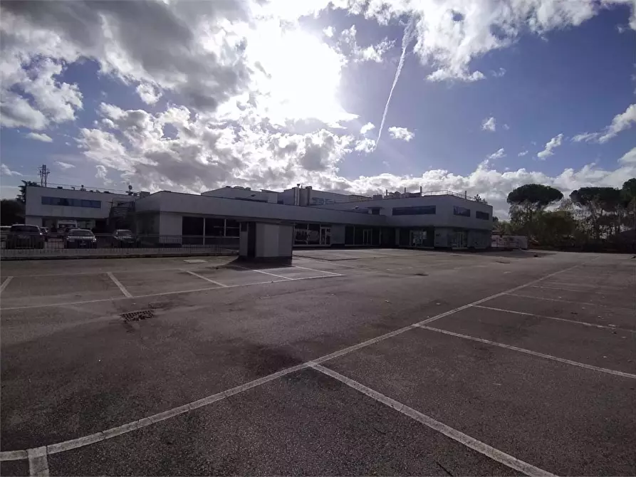 Immagine 17 di Negozio in vendita  a Frosinone