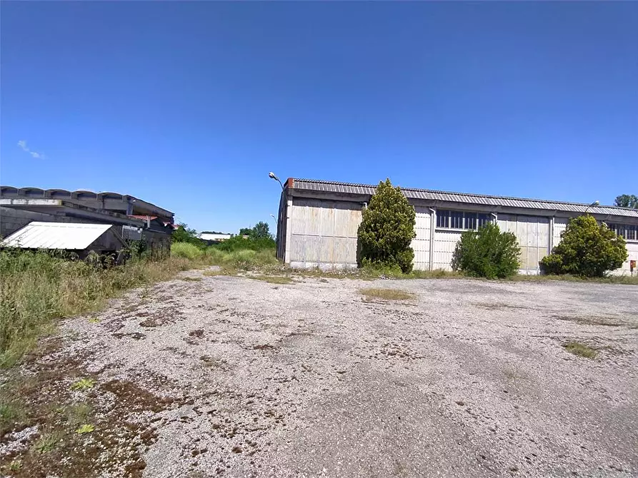 Immagine 3 di Capannone industriale in affitto  a Frosinone