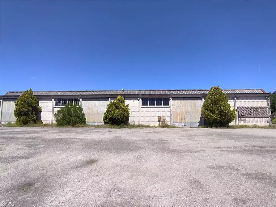 Immagine 7 di Capannone industriale in affitto  a Frosinone