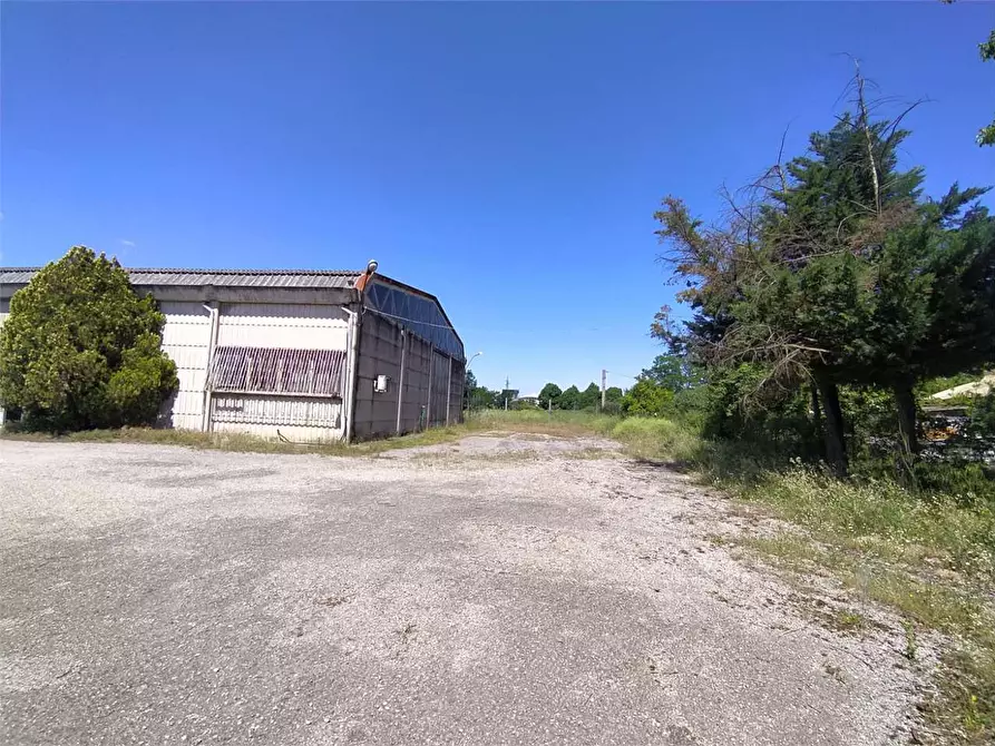 Immagine 8 di Capannone industriale in affitto  a Frosinone