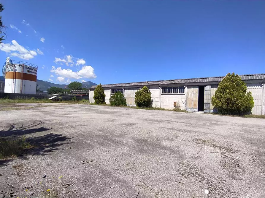 Immagine 12 di Capannone industriale in affitto  a Frosinone