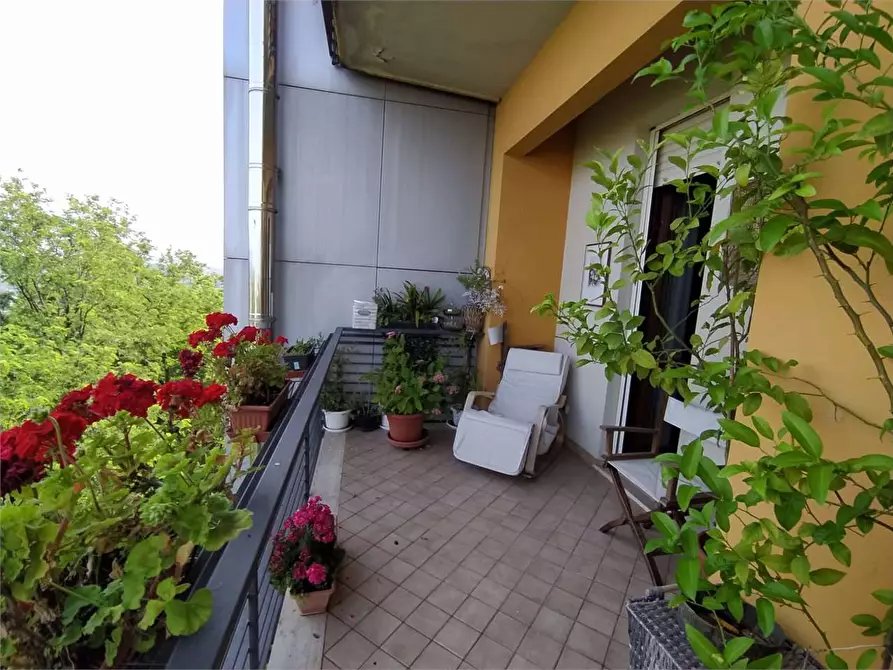 Immagine 14 di Appartamento in vendita  a Frosinone