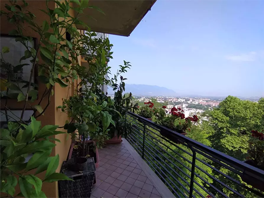 Immagine 17 di Appartamento in vendita  a Frosinone