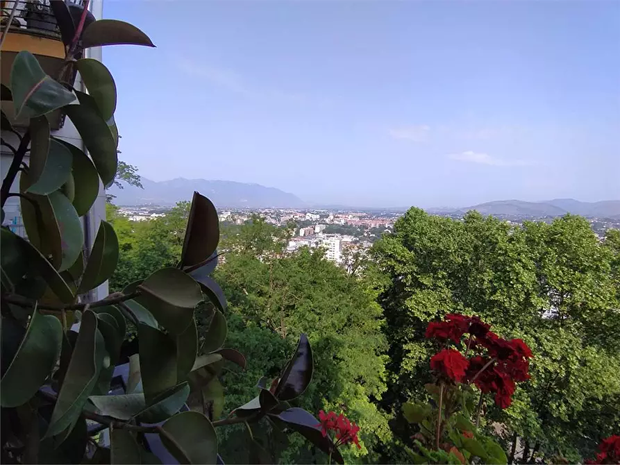 Immagine 22 di Appartamento in vendita  a Frosinone