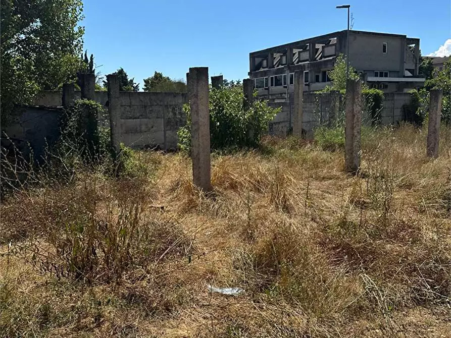 Immagine 2 di Terreno agricolo in vendita  a Frosinone
