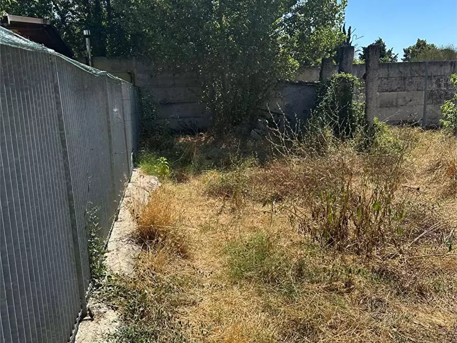 Immagine 3 di Terreno agricolo in vendita  a Frosinone