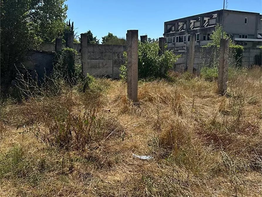 Immagine 4 di Terreno agricolo in vendita  a Frosinone