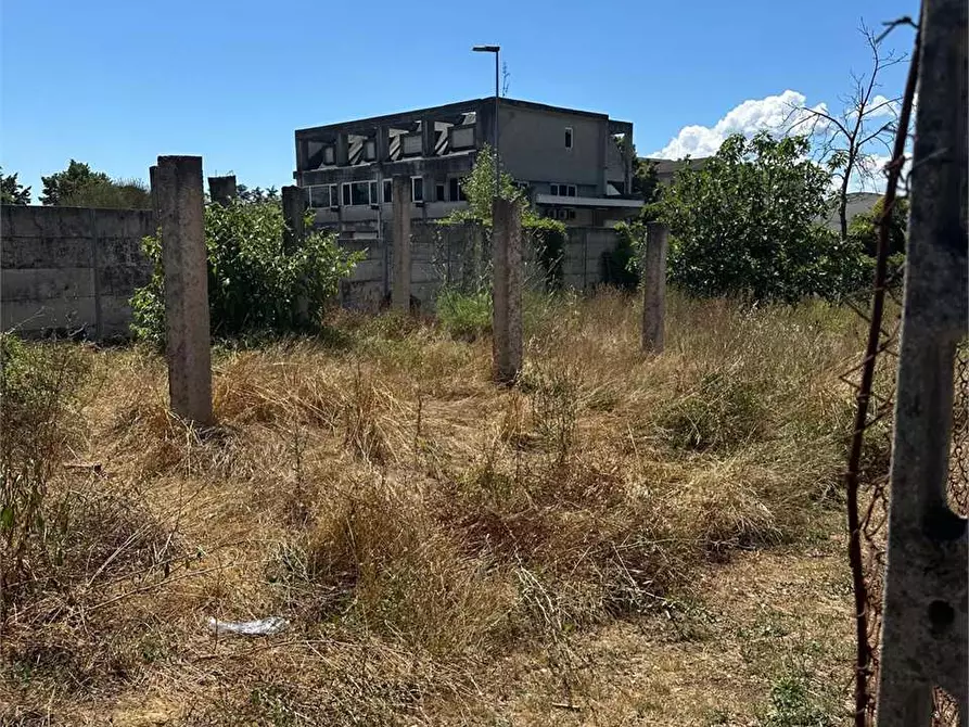 Immagine 1 di Terreno agricolo in vendita  a Frosinone