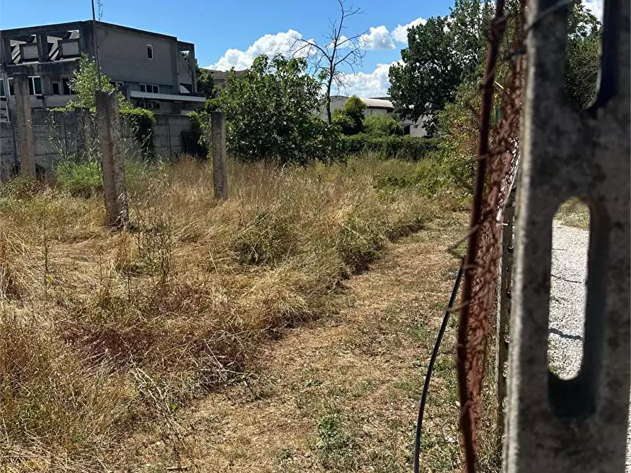 Immagine 7 di Terreno agricolo in vendita  a Frosinone