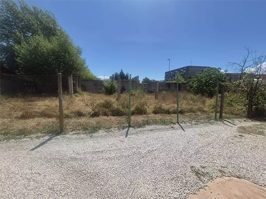 Immagine 9 di Terreno agricolo in vendita  a Frosinone