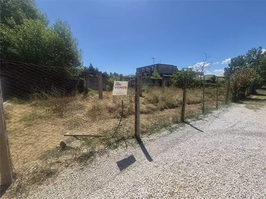 Immagine 10 di Terreno agricolo in vendita  a Frosinone