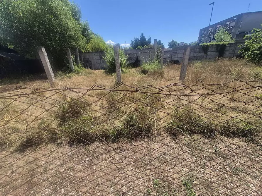 Immagine 12 di Terreno agricolo in vendita  a Frosinone