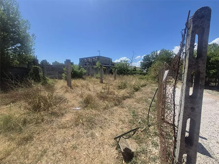 Immagine 13 di Terreno agricolo in vendita  a Frosinone