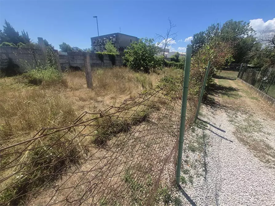 Immagine 14 di Terreno agricolo in vendita  a Frosinone