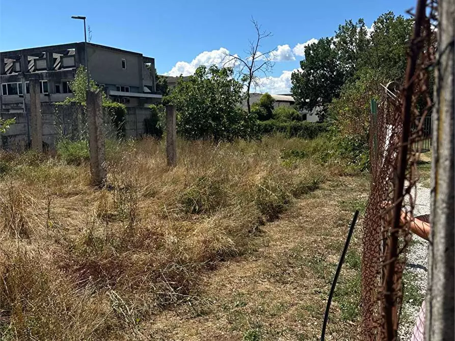 Immagine 15 di Terreno agricolo in vendita  a Frosinone