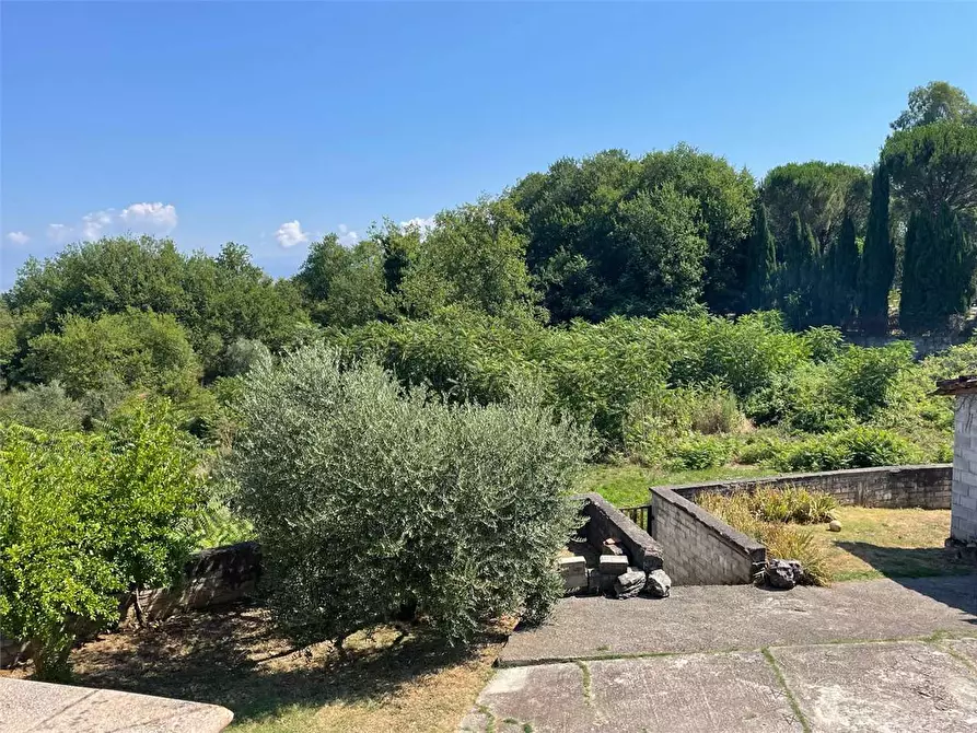 Immagine 3 di Terreno in affitto  a Ceccano