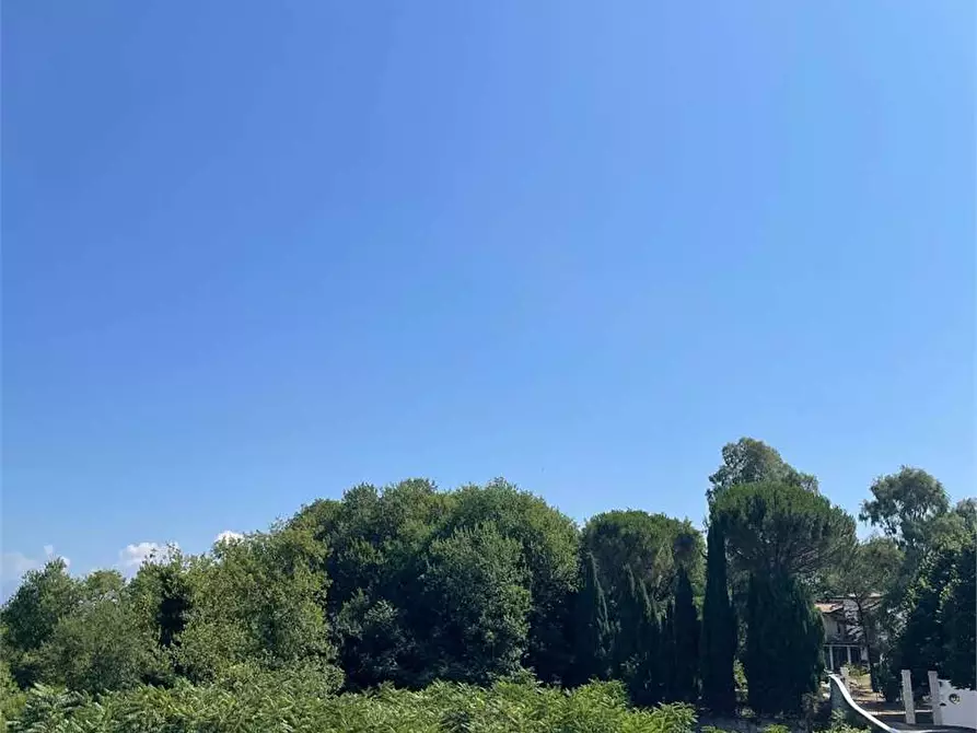 Immagine 4 di Terreno in affitto  a Ceccano