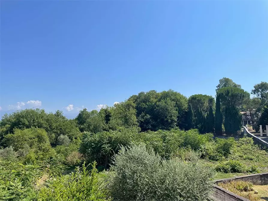 Immagine 5 di Terreno in affitto  a Ceccano