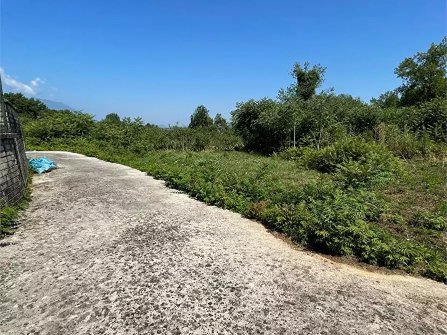 Immagine 8 di Terreno in affitto  a Ceccano