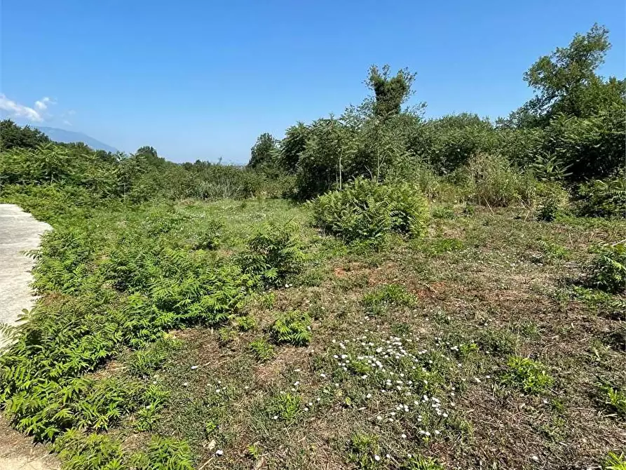 Immagine 1 di Terreno in affitto  a Ceccano