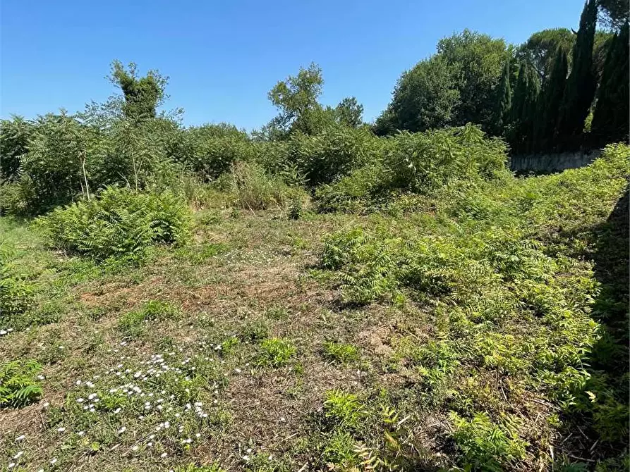 Immagine 9 di Terreno in affitto  a Ceccano