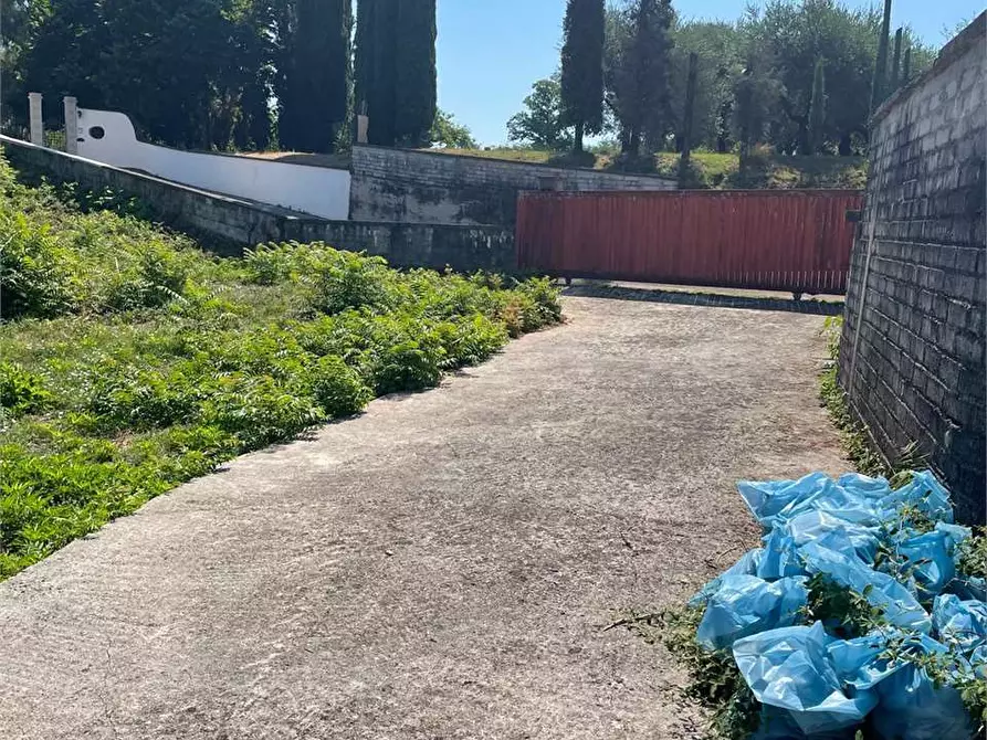 Immagine 10 di Terreno in affitto  a Ceccano
