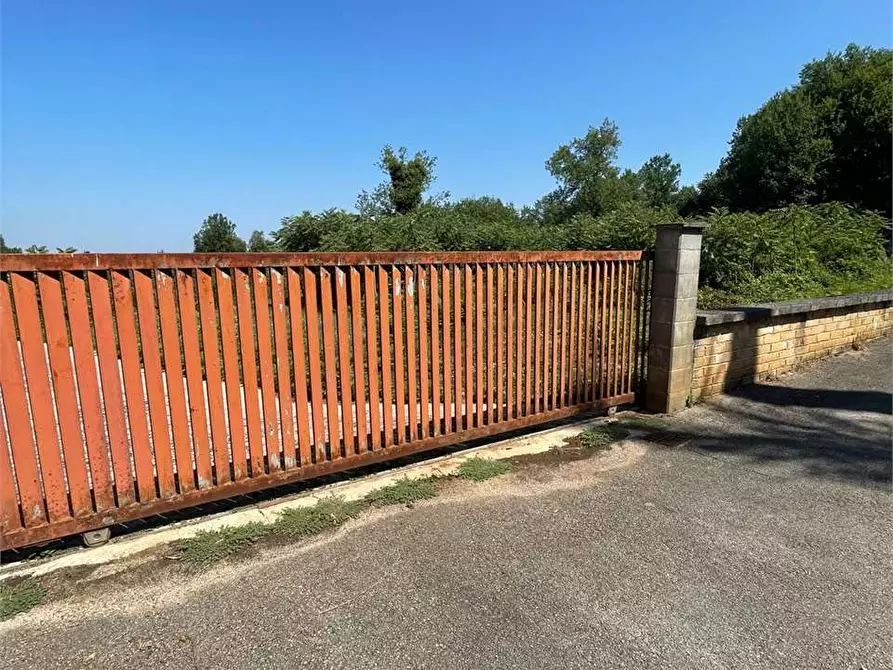 Immagine 11 di Terreno in affitto  a Ceccano