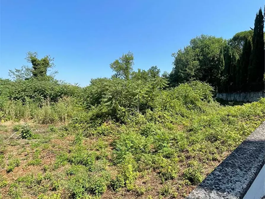 Immagine 12 di Terreno in affitto  a Ceccano
