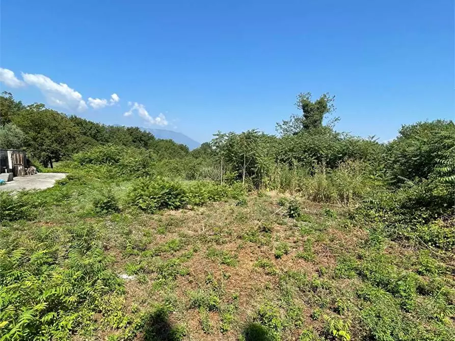 Immagine 13 di Terreno in affitto  a Ceccano